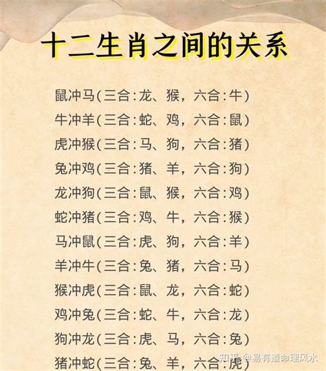 生肖冲合|十二生肖里的三合、六合、六害、六冲分解